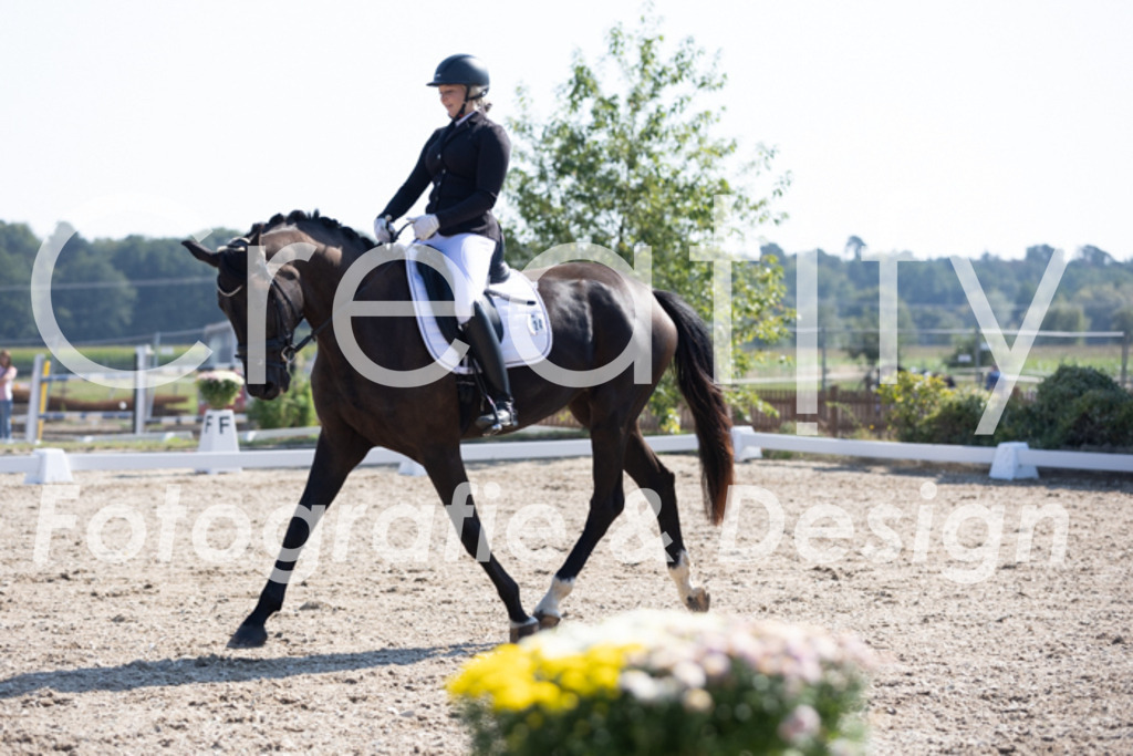 IMG_3937 | Creatify Fotografie