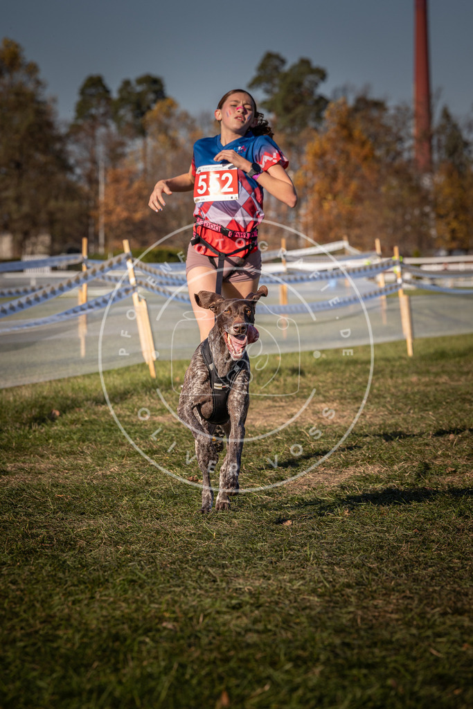 CaniXpix_0L8A7728 | Hundefotografie, Tierfotograf, Pfotenfotografie, Fotoshooting Hund, Hunde Portrait, Hundesport, Hundeportraits, Heideshooting, Hunde, Sportfotograf, Hundefotograf, Turnierhundsport, THS,  - Realisiert mit Pictrs.com