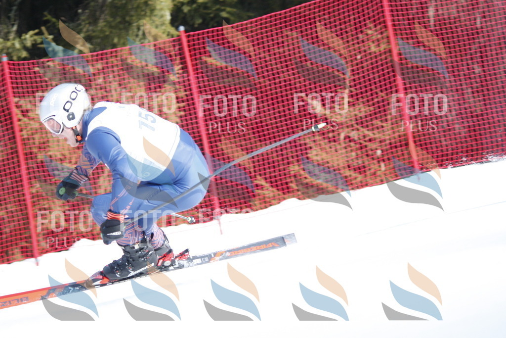 D7359 | holidayphoto