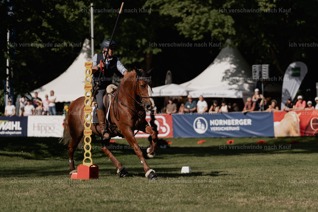 WE_MOS_Stoib_323_PI2025_2286 | Pferd International München 2025