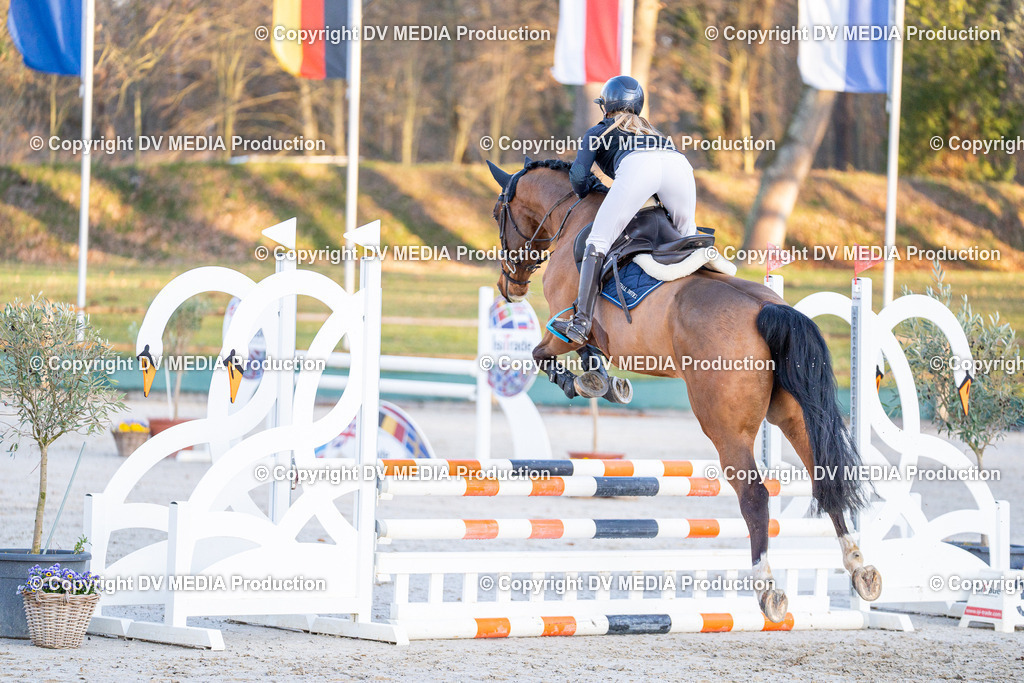 DSC-265 | dv-media-shop - Realisiert mit Pictrs.com