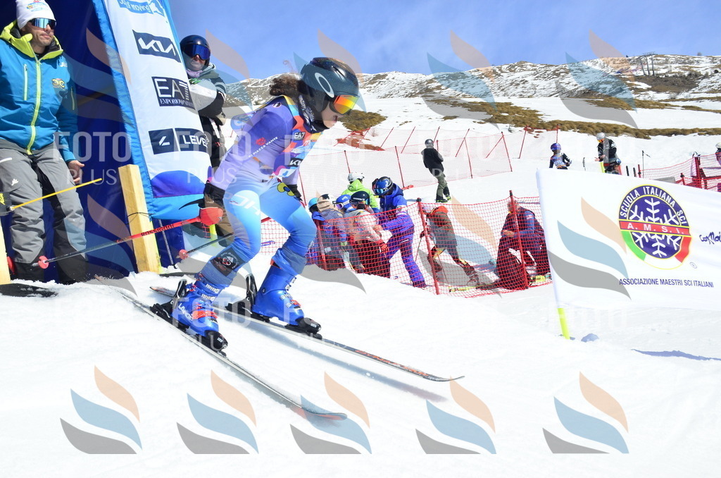 _ELE0922 | holidayphoto