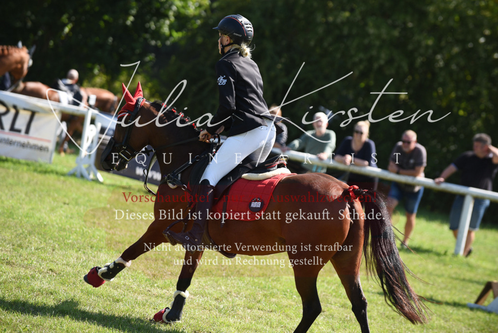 DSC_9267 | Pferde- und Turnierfotografie in Westsachsen. Pferdeportraits, Auftragszeichnungen und intuitive Kunst.