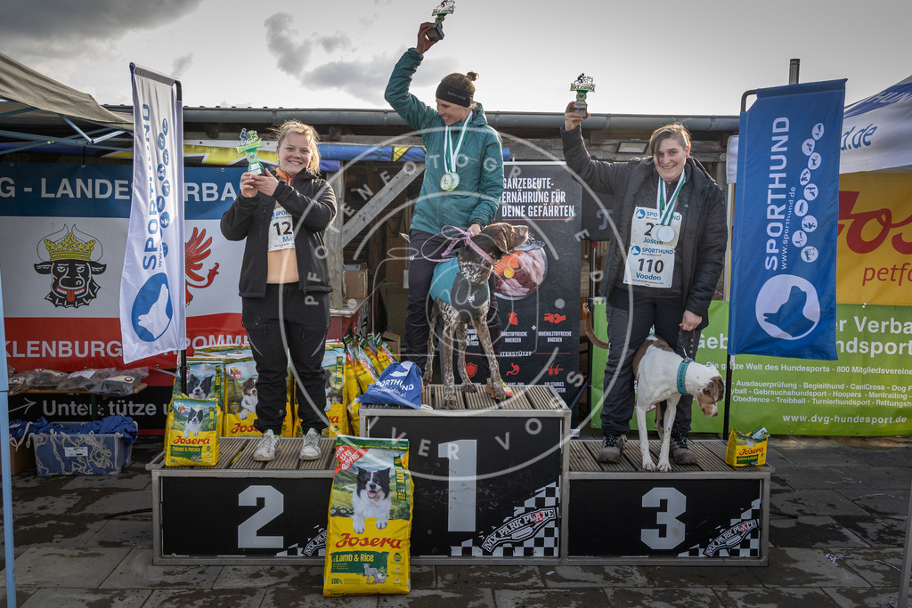 0L8A9201 | Hundefotografie, Tierfotograf, Pfotenfotografie, Fotoshooting Hund, Hunde Portrait, Hundesport, Hundeportraits, Heideshooting, Hunde, Sportfotograf, Hundefotograf, Turnierhundsport, THS,  - Realisiert mit Pictrs.com