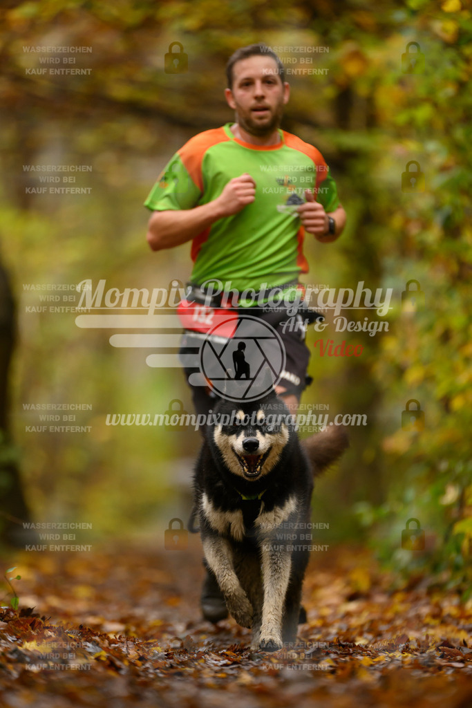 MompixPhotography_CD7S_DI_CCL-104 | mompixphotography