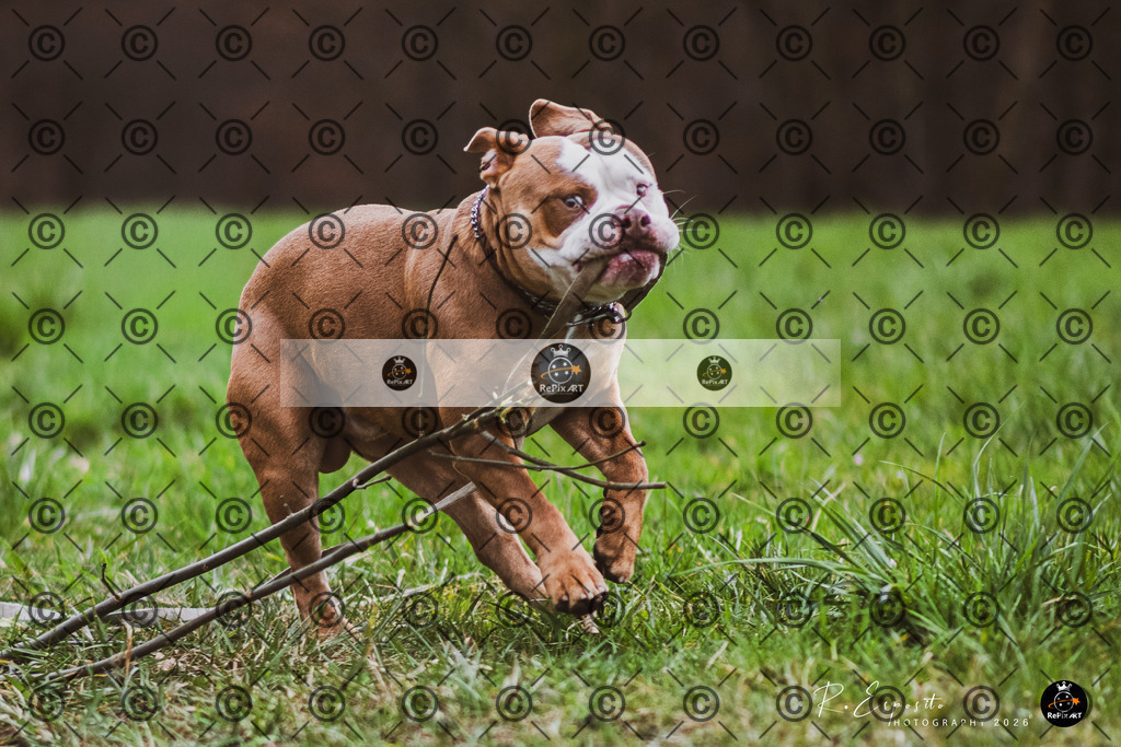 20260228_Charly_041-96 | Sport und Naturfotografie von Roberto Esposito zeigt echte Momente Bewegung und die Schönheit der Natur. Ausdrucksstarke Bilder schaffen Emotionen.