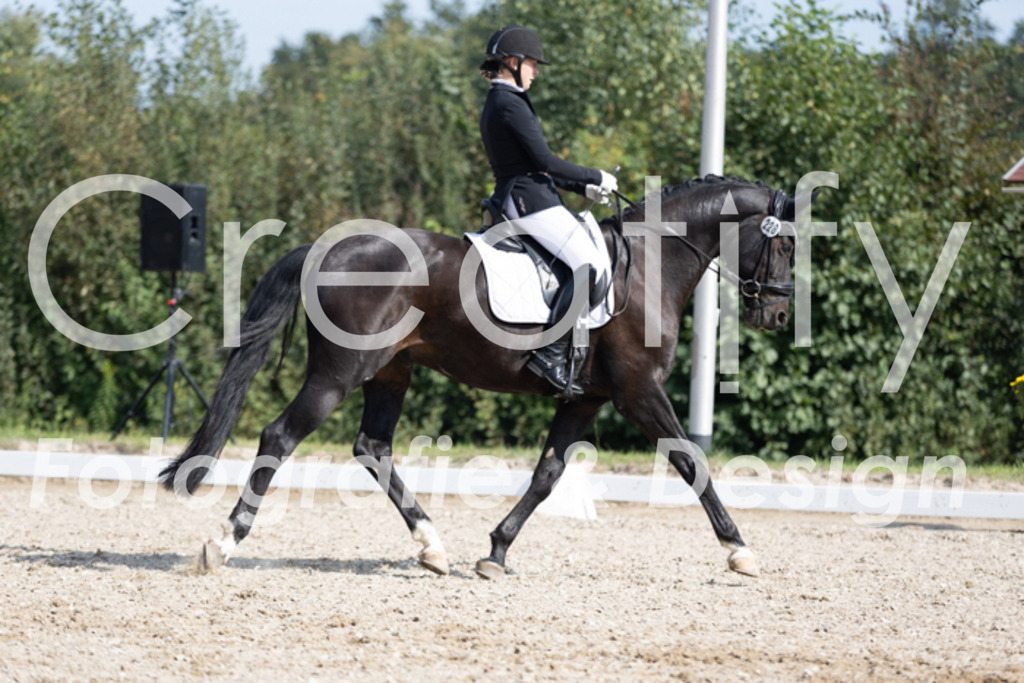 IMG_3638 | Creatify Fotografie