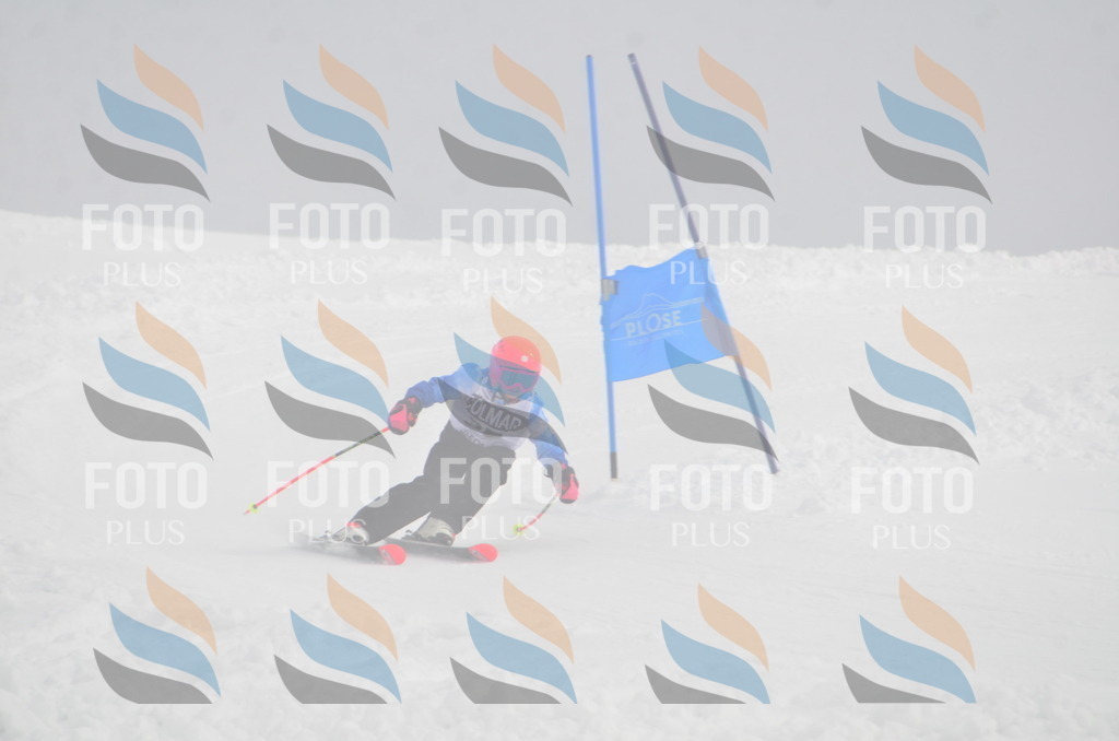 A5276 | holidayphoto