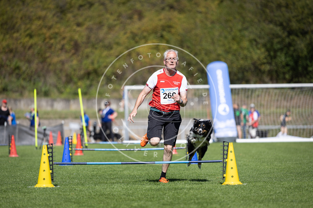 Pfotenfotografie_DV3A6474 | Hundefotografie, Tierfotograf, Pfotenfotografie, Fotoshooting Hund, Hunde Portrait, Hundesport, Hundeportraits, Heideshooting, Hunde, Sportfotograf, Hundefotograf, Turnierhundsport, THS,  - Realisiert mit Pictrs.com