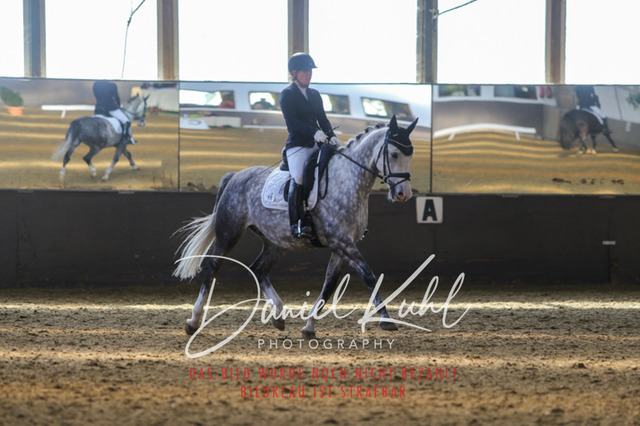IMG_2529 | Turniersportfotografie; Pferdefotografie; Dressurfotografie