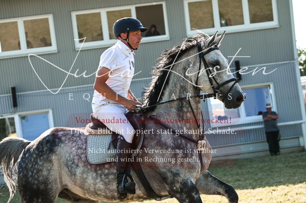 DSC_2649 | Pferde- und Turnierfotografie in Westsachsen. Pferdeportraits, Auftragszeichnungen und intuitive Kunst.