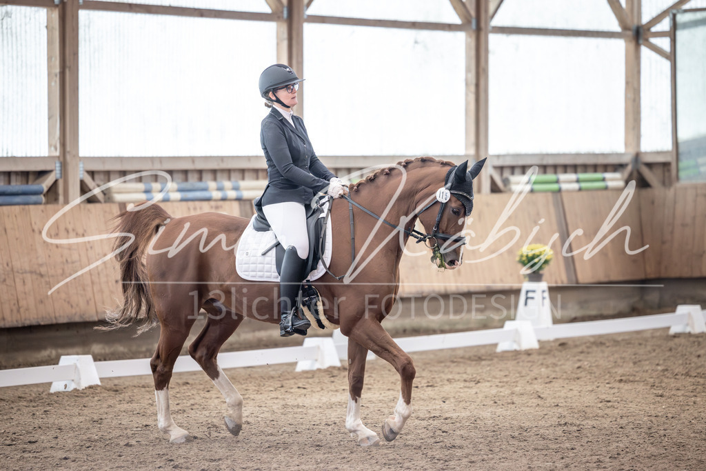 20251011-_3LI0336 | Tierfotografie Pferde, Hunde, Katzen, Haustiere.
Turnierfotografie Reitturniere, Reiten, Springreiten, Dressur in Hanau, dem Main-Kinzig-Kreis und dem Rhein-Main- Gebiet um Frankfurt