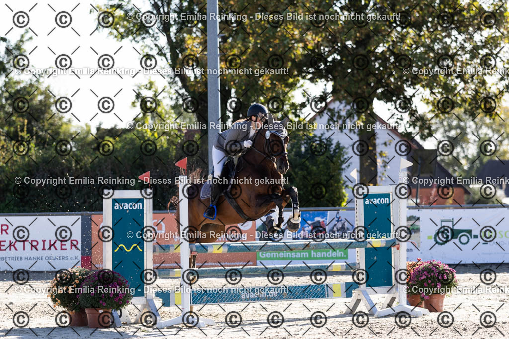 CL5A1215 | Emilia Reinking Fotografie - Realisiert mit Pictrs.com