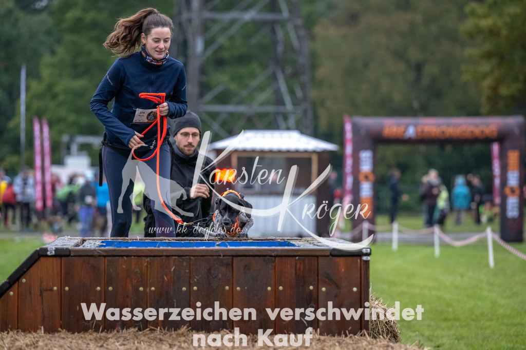 1105-93456 | kk-dogfotos