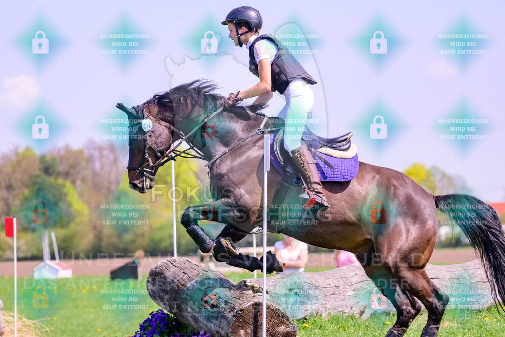 18042026-Gernlinden-01-1-0163 | Fokus Hufschlag Fotografie - Realisiert mit Pictrs.com