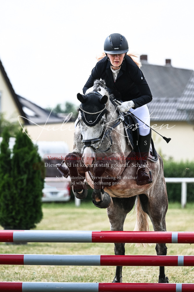 DSC_8927 | Pferde- und Turnierfotografie in Westsachsen. Pferdeportraits, Auftragszeichnungen und intuitive Kunst.