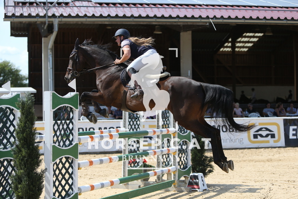 DL2Q4777 | Willkommen bei Brunnmayr - Design & Fotografie – Ihrem Spezialisten für Reitturniere und Pferdeveranstaltungen in Oberösterreich, Salzburg und Bayern! Seit über 17 Jahren sind wir leidenschaftlich dabei.