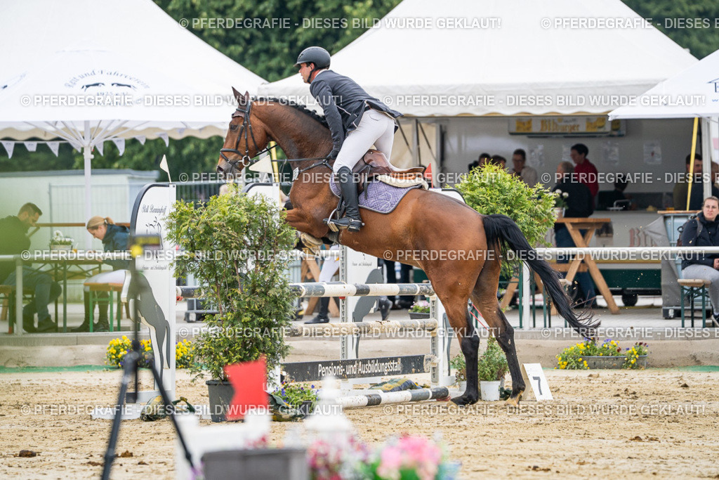 DSC00372 | Pferdegrafie