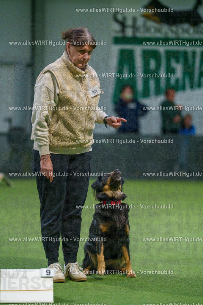 7R505429 | Professionelle Tierfotografie in Mönchengladbach von Daniel Wirth (allesWIRTHgut). Liebevolle & natürliche Bilder von Hunden & Katzen für unvergessliche Erinnerungen.
