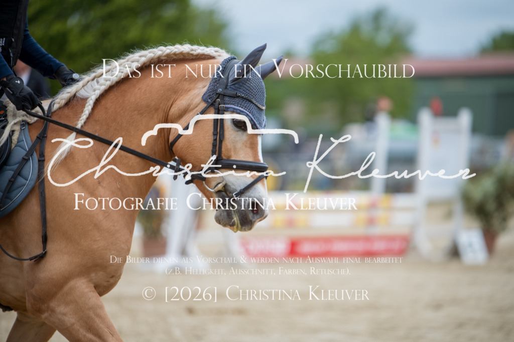 DSC_8151 | Christina-Kleuver