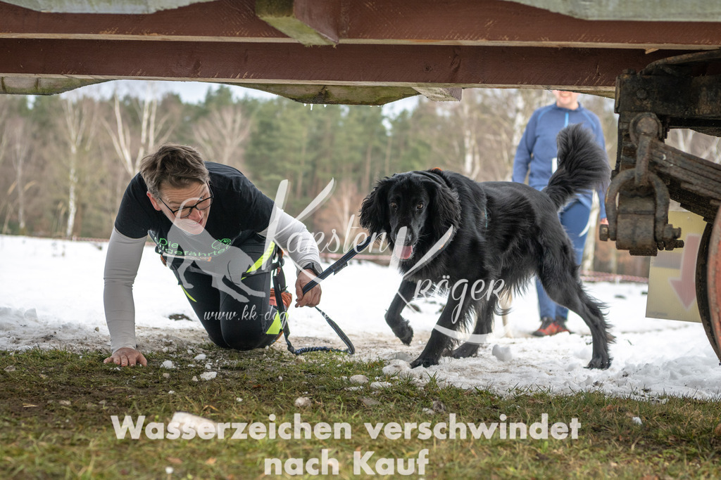 0934_ZZ90793 | kk-dogfotos