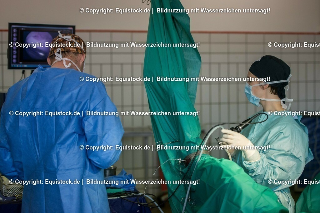 20160315_Arthroskopie_0048 | equistock