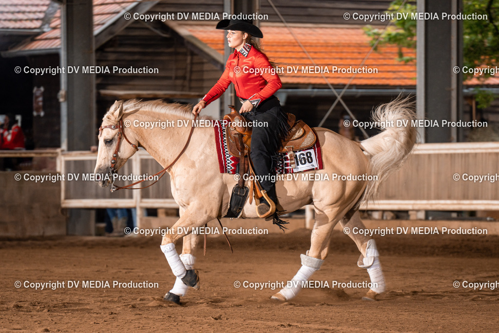 Erbach Tag 2-1040 | dv-media-shop - Realisiert mit Pictrs.com