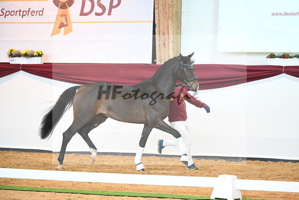 Kat-Nr. 32 v. For Gold_Lachner-Schuetz_66220438 | hf-fotografie - Realisiert mit Pictrs.com