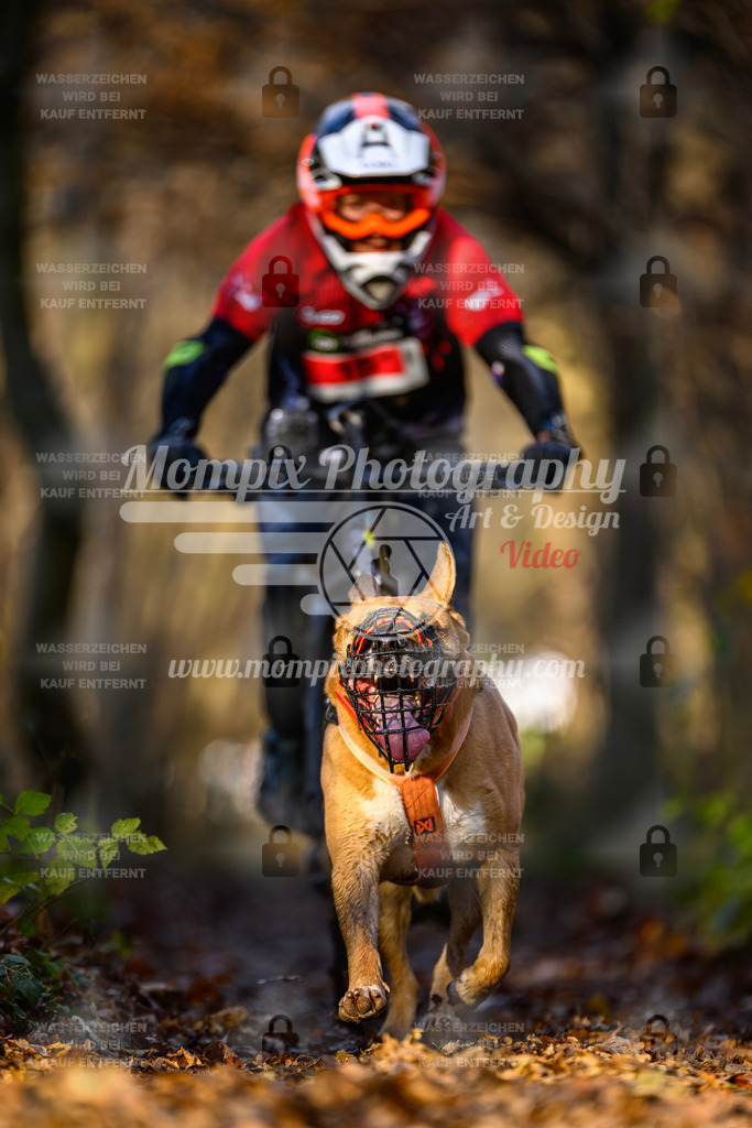 MompixPhotography_Eschau2024_Bike-57 | PayLife