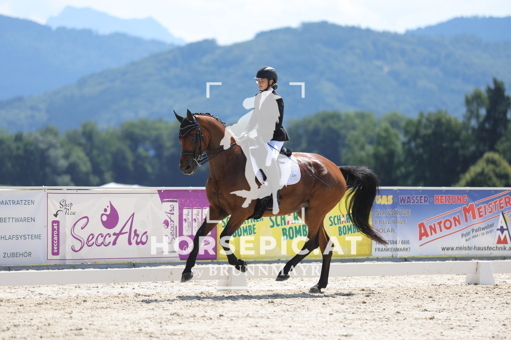 0P6A5480 | Willkommen bei Brunnmayr - Design & Fotografie – Ihrem Spezialisten für Reitturniere und Pferdeveranstaltungen in Oberösterreich, Salzburg und Bayern! Seit über 17 Jahren sind wir leidenschaftlich dabei.