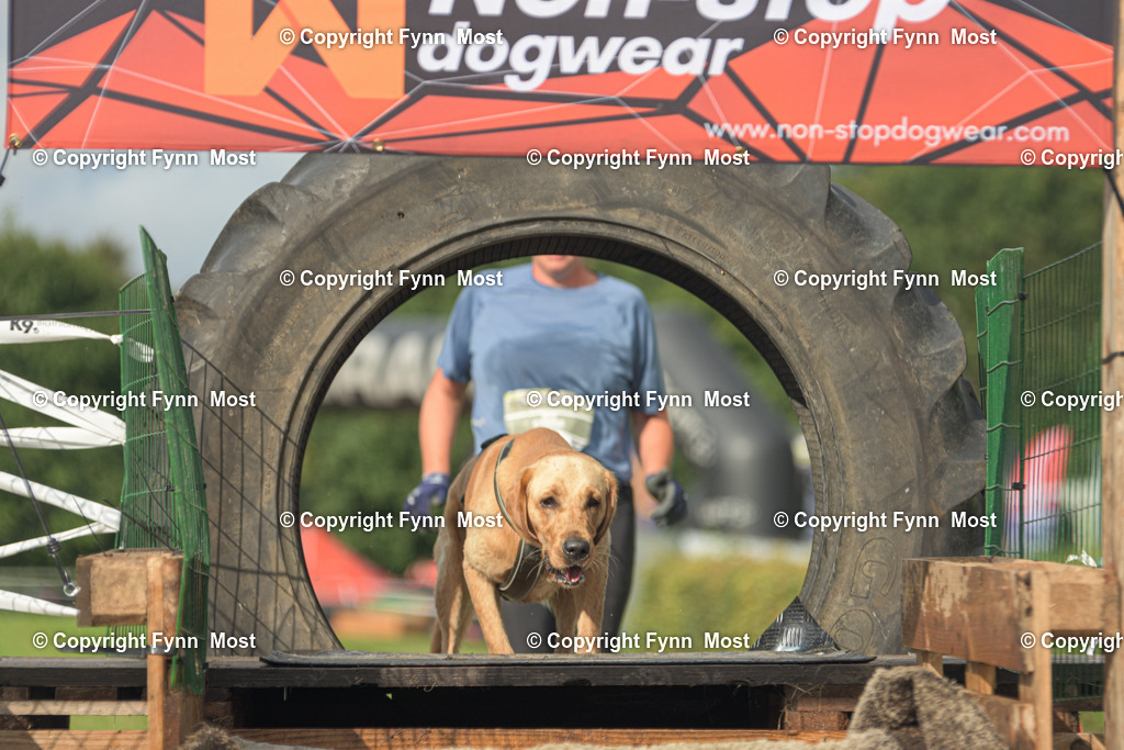 DSC_0587 | Hallo und herzlich Willkommen auf meiner Shop-Seite Fynn Most.

Ich wünsche Dir viel Spaß beim stöbern durch die Bilder, wenn Du Fragen hast oder Bilder vermisst, kannst du mir gerne eine Nachricht schreiben. - Realisiert mit Pictrs.com
