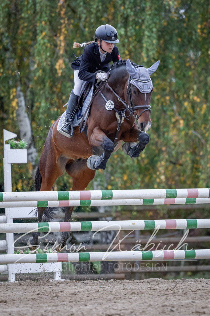 20251012-_3LI4604 | Tierfotografie Pferde, Hunde, Katzen, Haustiere.
Turnierfotografie Reitturniere, Reiten, Springreiten, Dressur in Hanau, dem Main-Kinzig-Kreis und dem Rhein-Main- Gebiet um Frankfurt