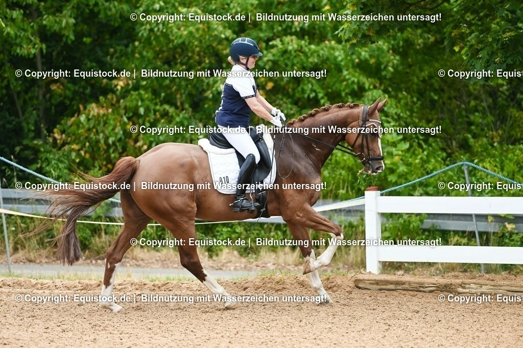 20230715_07_Dressurpferdeprfg. Kl.L_0033 | equistock