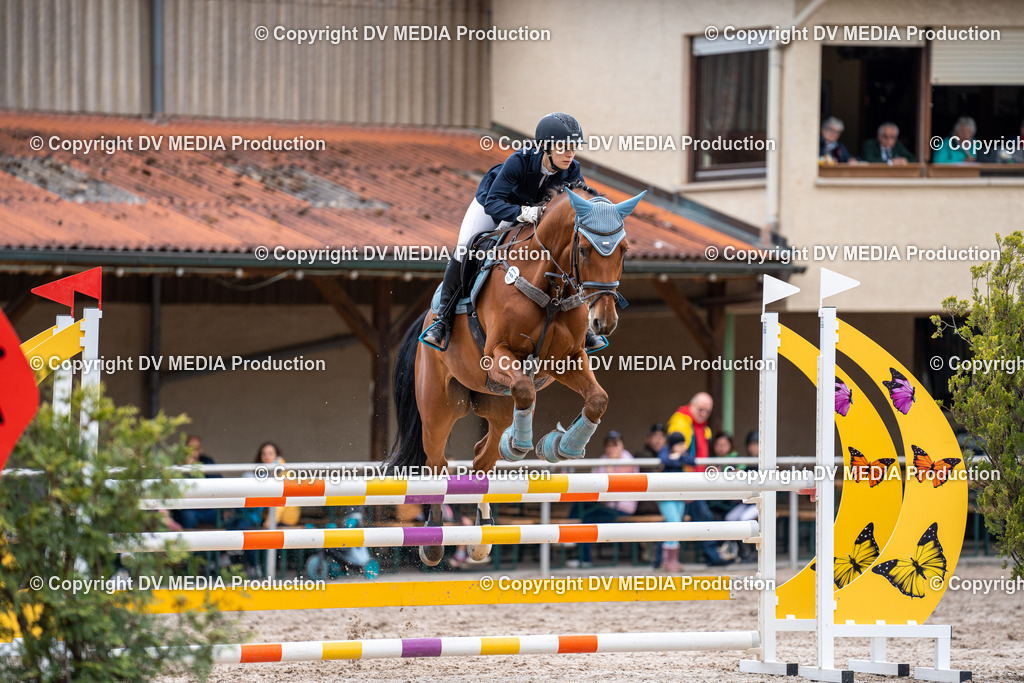 Eppelheim Tag 1-506 | dv-media-shop - Realisiert mit Pictrs.com