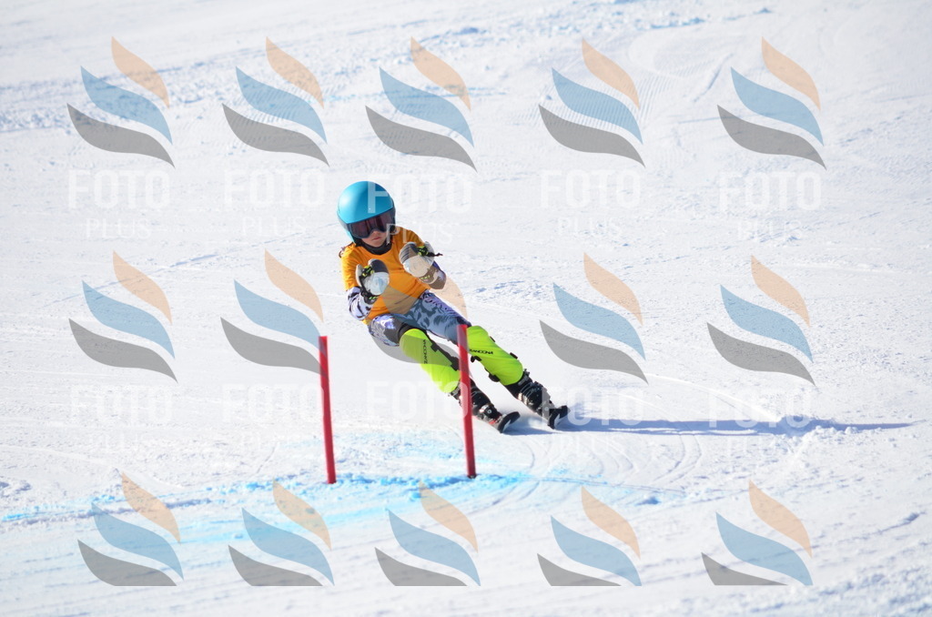 C6069 | holidayphoto