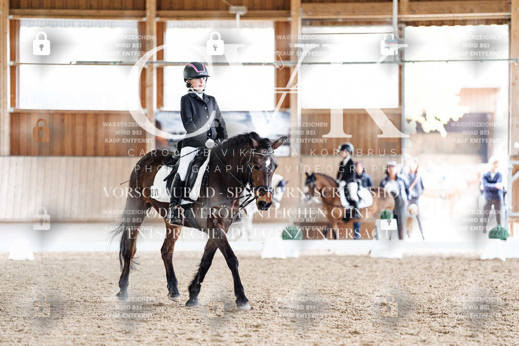 CK901257 | Turnierfotografie Pferdefotografie Trier Rheinland-Pfalz Pferdesport Reitsport Tierfotografie Sportfotografie Pferdevideo Pferdevideografie Equestrianvideography equestrianphotography  - Realisiert mit Pictrs.com