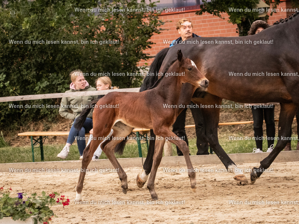 A10I3861 15.58.11 | photographylinaismer - Realisiert mit Pictrs.com