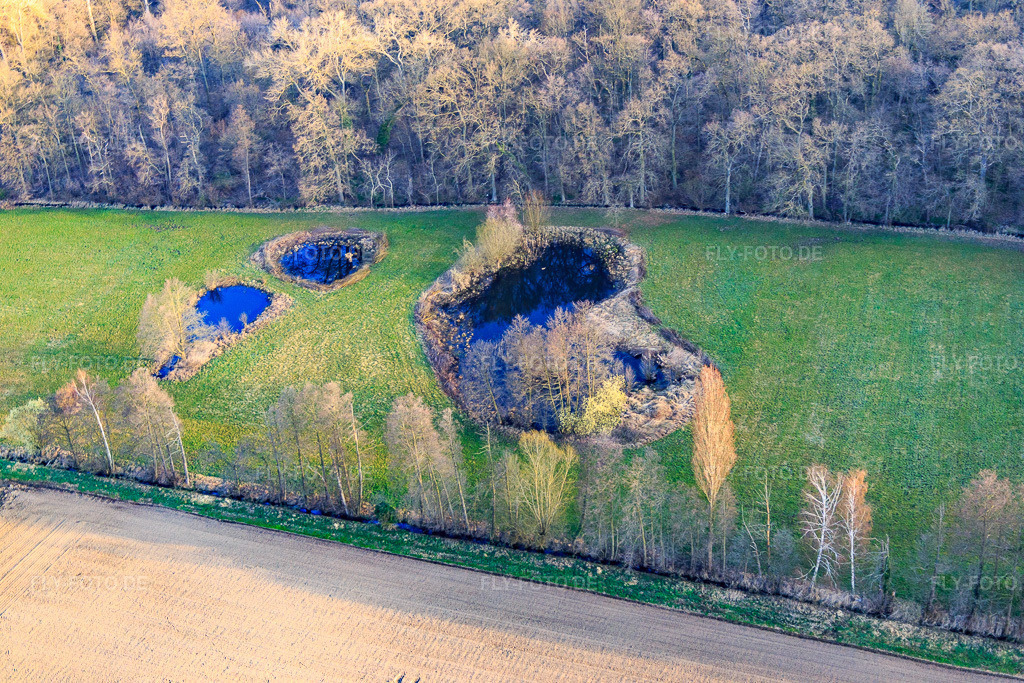 Luftbild: Biotop am Altbach im Winter im Ortsteil Minderslachen in Kandel im Bundesland Rheinland-Pfalz in Deutschland. Foto: IMG_076781.jpg vom 28.03.2015 durch Werner Riehm/FLY-FOTO.de