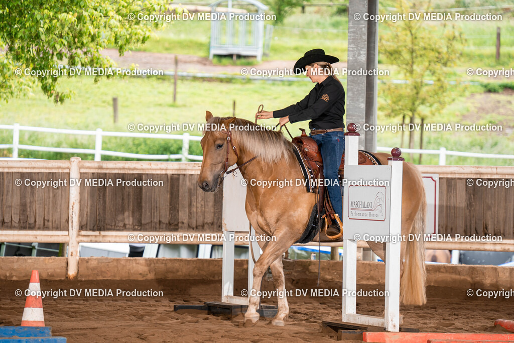 Erbach Tag 1-066 | dv-media-shop - Realisiert mit Pictrs.com