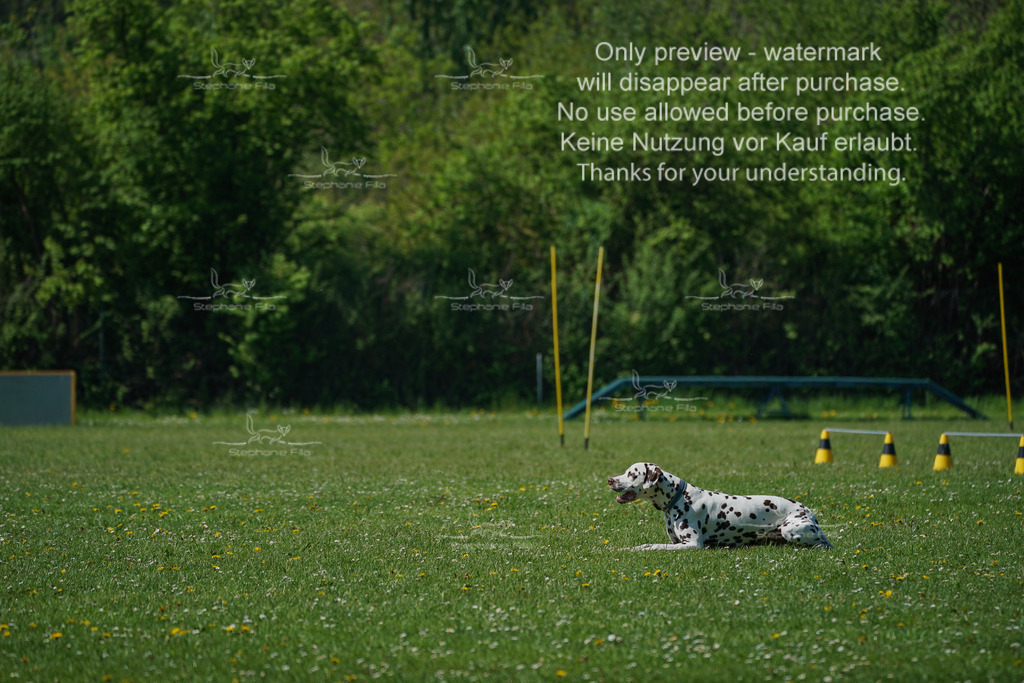 Sa_Gehorsam_Vormittag-140 | stephaniefillaphotographie - Realisiert mit Pictrs.com