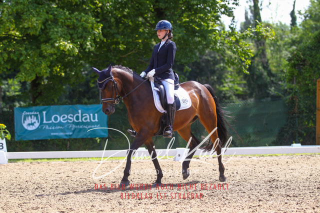 DKP42669 | Turniersportfotografie; Pferdefotografie; Dressurfotografie