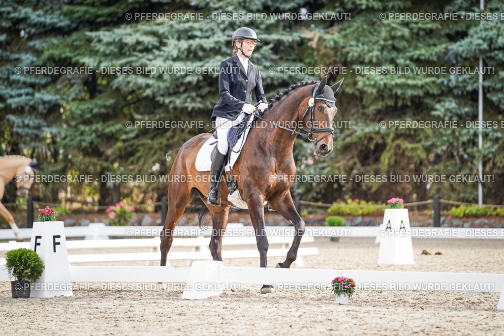 DSC00803 | Pferdegrafie