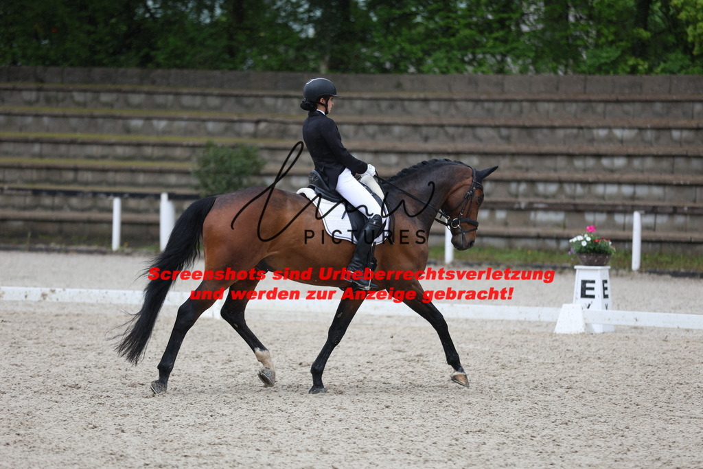 A40A8928 | lmwpictures - Realisiert mit Pictrs.com