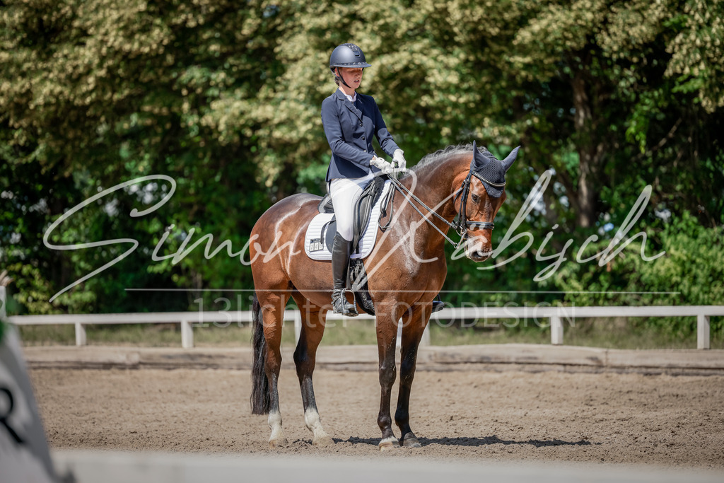 20250621-_3LI8681 | Tierfotografie Pferde, Hunde, Katzen, Haustiere.
Turnierfotografie Reitturniere, Reiten, Springreiten, Dressur in Hanau, dem Main-Kinzig-Kreis und dem Rhein-Main- Gebiet um Frankfurt