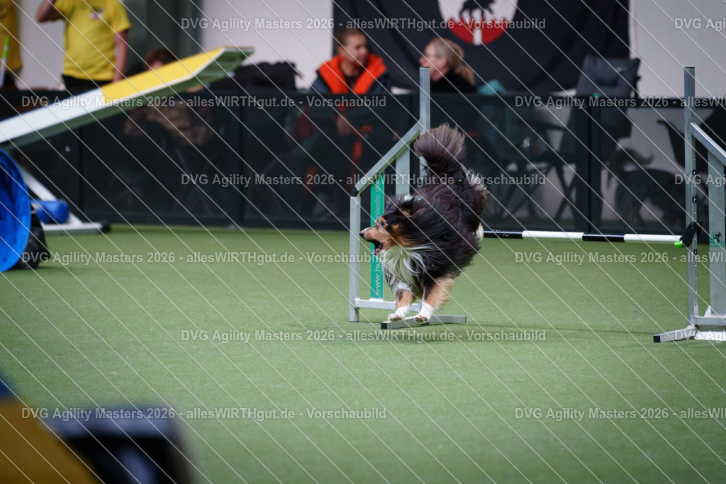 allesWIRTHgut_Tierfotografie-DVG_Agility_Masters_2026-14_46-7R505452 | Professionelle Tierfotografie in Mönchengladbach von Daniel Wirth (allesWIRTHgut). Liebevolle & natürliche Bilder von Hunden & Katzen für unvergessliche Erinnerungen.