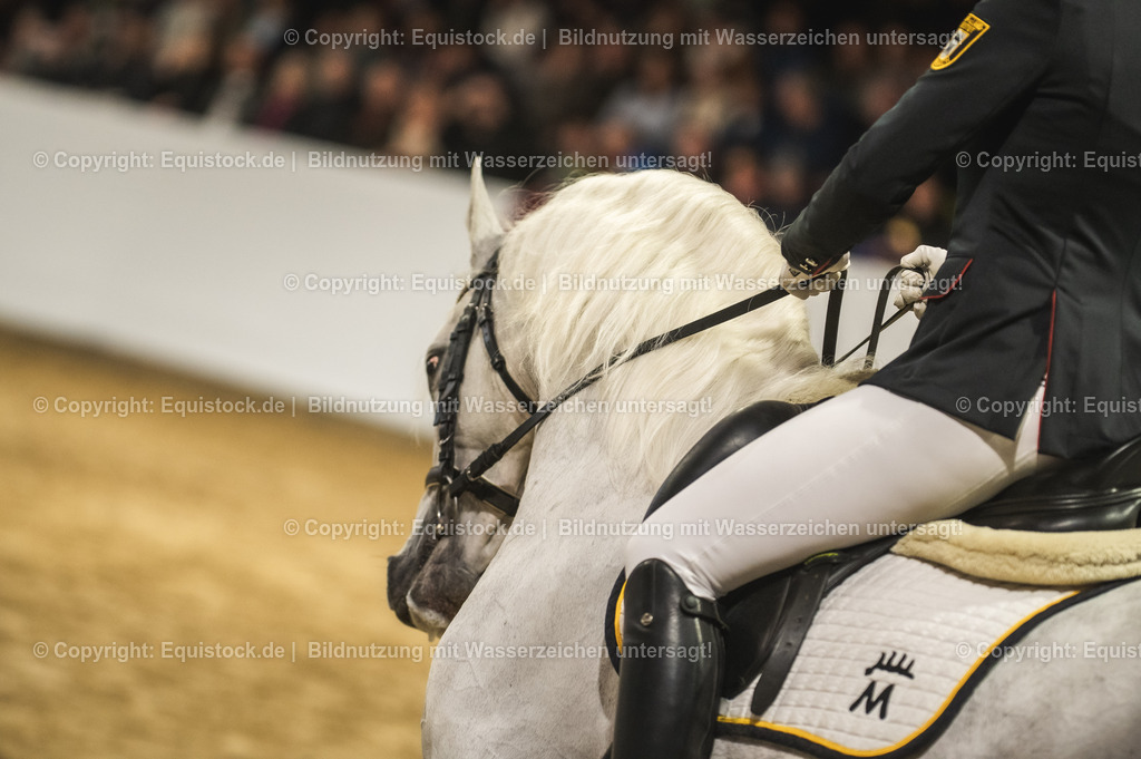 20240302_Hengstvorstellung_Marbach_TOMsPiC_1002-2 | equistock