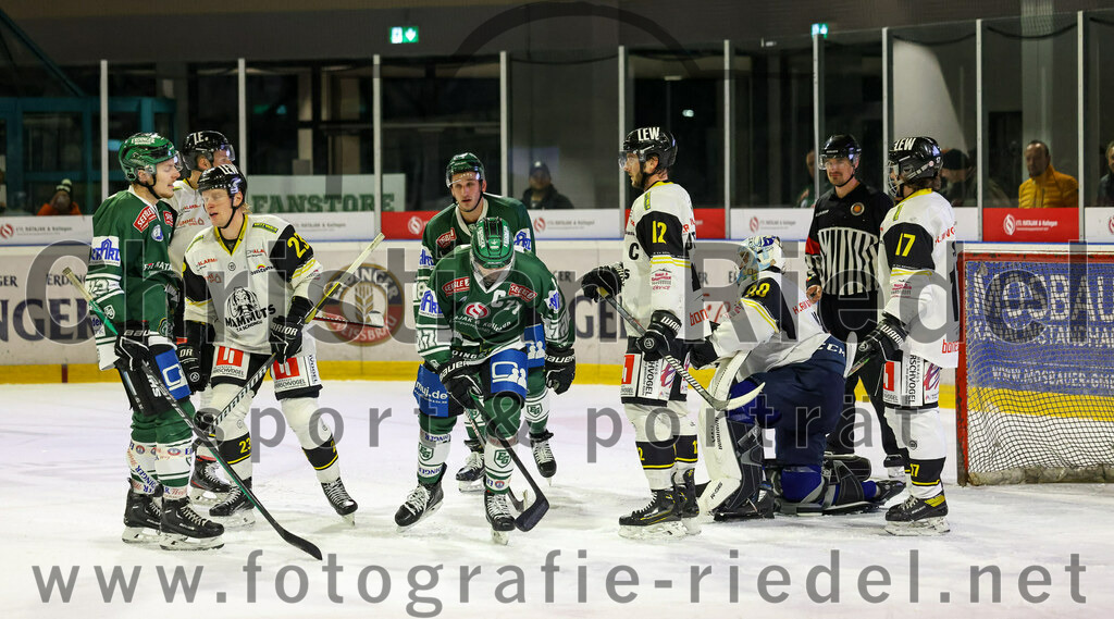 2023-11-17_125_TSV_Erding_gegen_EA_Schongau | Erding, Deutschland, 17.11.2023:
Eishockey, Bayernliga Vorrunde 2023 / 2024, 10. Spieltag, TSV Erding gegen EA Schongau, Endergebnis: 12:4

Michael Franz (Erding Gladiators, #13), Ville Saloranta (EA Schongau, #23), Philipp Michl (Erding Gladiators, #77), Jonas Lautenbacher (EA Schongau, #12), Torwart Xaver Nagel (EA Schongau, #80), Stefan Saal (EA Schongau, #17)

Foto: Christian Riedel / fotografie-riedel.net
