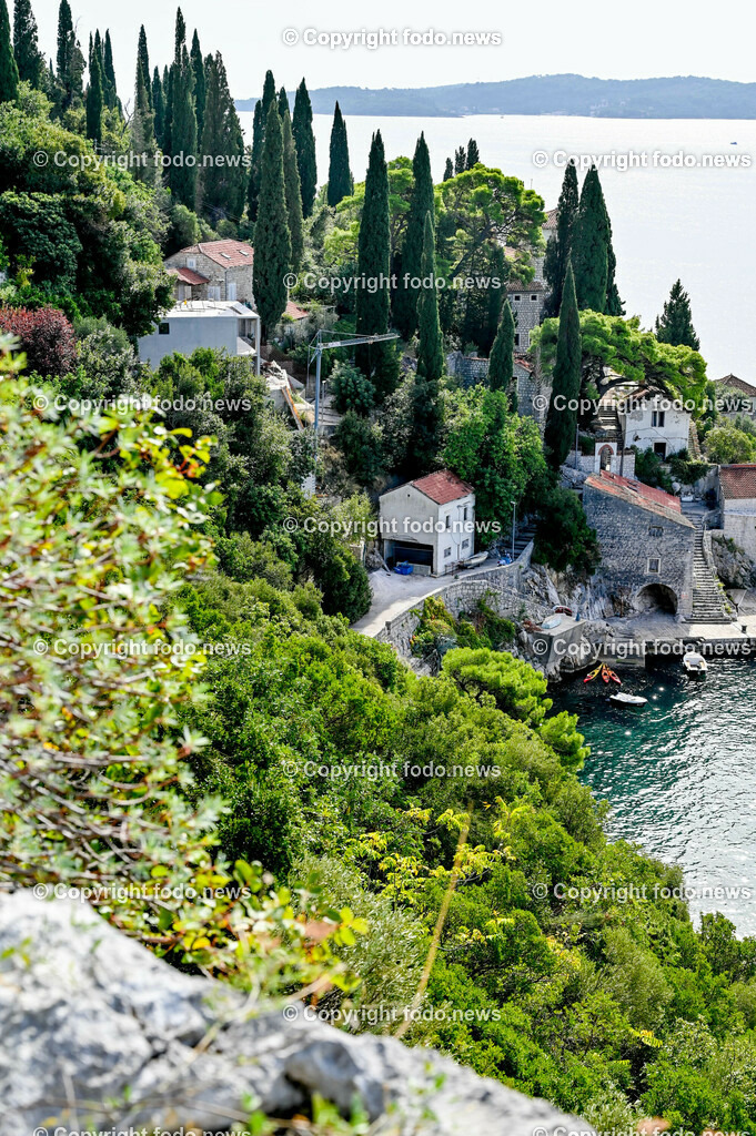 Arboretum von Trsteno_ Kroatien_ 11.10.2023-68 | 11.10.2023, Kroatien, HRV, Trsteno im Bild Arboretum, Trsteno, Hafen, Pflanzen, Brunnen, Neptunbrunnen, Wege, Palmen, Eukalyptus, Lorbeer, Kakteen, Zitrus, Oliven, Filmkulisse Game of Thrones

Das Arboretum von Trsteno befindet sich etwa 18 Kilometer nordwestlich der Stadt Dubrovnik im Sueden Kroatiens. Als einziges Arboretum an der oestlichen Adria-Kueste stellt es die aelteste Sammlung exotischer Baeume und Pflanzen des Landes dar.
Die Gartenanlage befindet sich entlang der Kuestenstraße zwischen den Ortschaften Orašac und Slano.
Quelle: Wikipedia