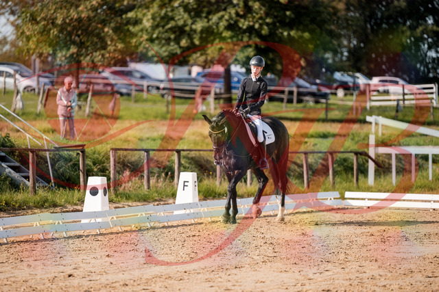 2026_10_03_Siefer-Hof_115458_Z63_30255281 | Professionelle Reitsport-, Turnier- und Eventfotografie von Robert Broda. Galerien mit ausgewählten und bearbeiteten Bildern direkt online ansehen und bestellen.