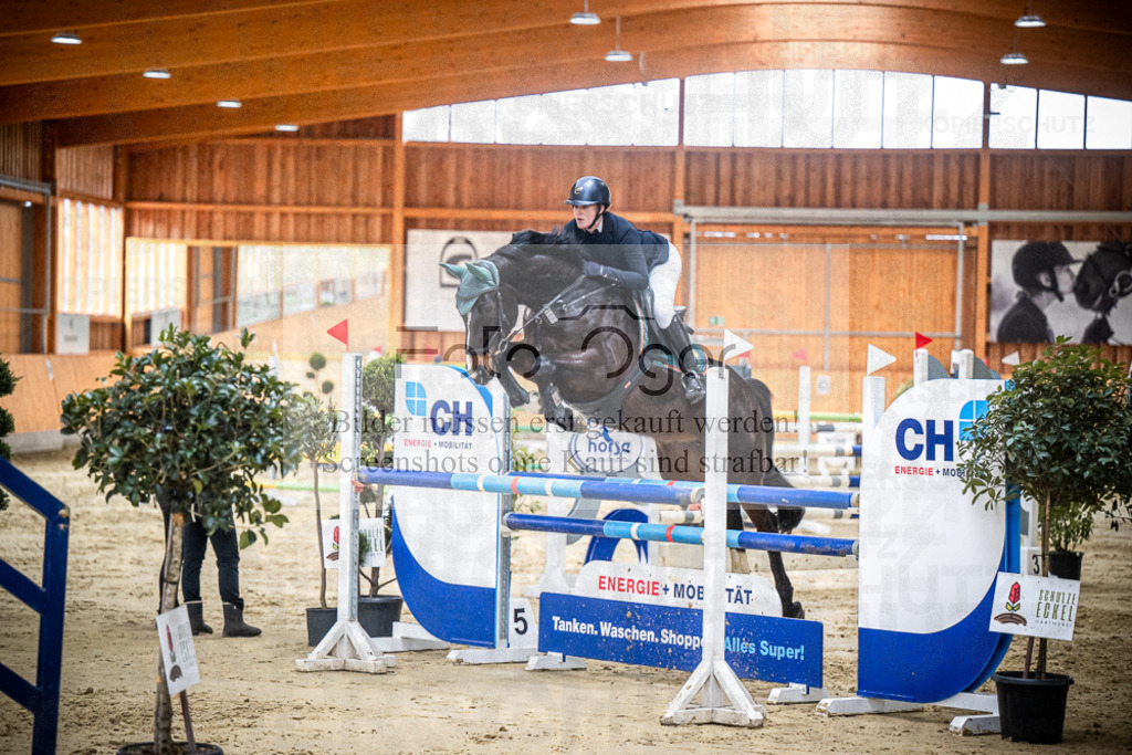 DOS_0717 | Entdecke hochwertige Reitturnierfotos von Foto Oger. Professionell, emotional und authentisch – jetzt Lieblingsmomente im Shop bestellen.Deutschlandweite Turnierfotografie. - Realisiert mit Pictrs.com